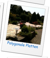 Polygonale Platten